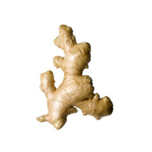 Factory Wholesale Chinese Export Natural High Quality Fresh Organic Ginger